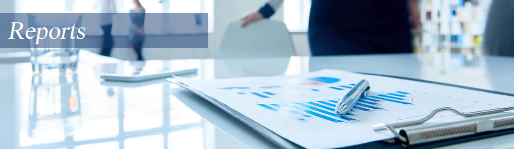 Valuepoint Asset Management - Reports