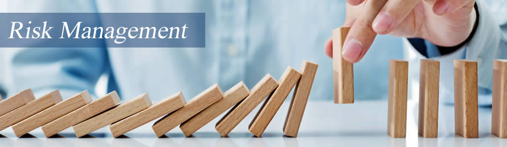 Valuepoint Asset Management - Risk Management